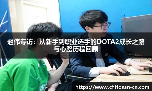 赵伟专访：从新手到职业选手的DOTA2成长之路与心路历程回顾